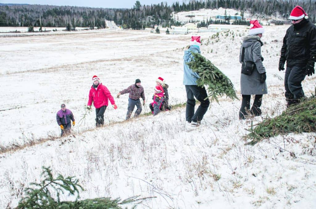 La famille Telmosse souhaite de joyeuses fêtes à tous