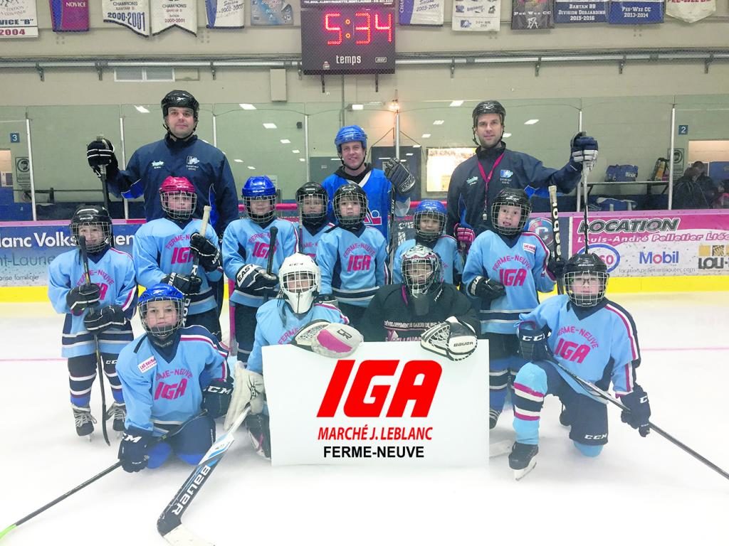 Cinq équipes novices participent au Tournoi Festipuces