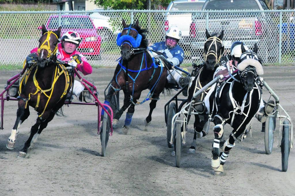 Trente chevaux de l’extérieur attendus pour la St-Jean