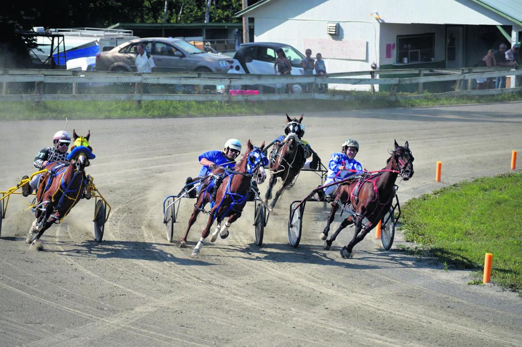 Les chevaux locaux ne s’en laissent pas compter