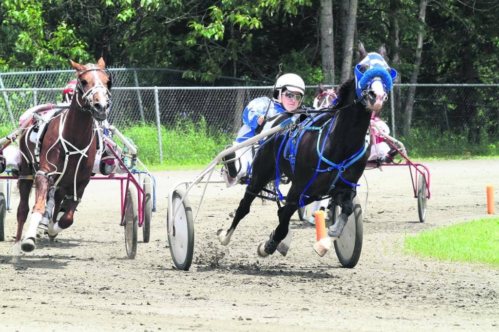 Les chevaux reprennent du service
