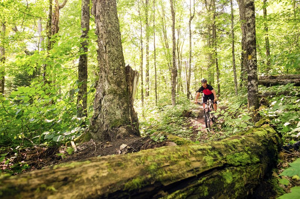 La Vélo Fête, c’est l’occasion de tester le vélo de montagne