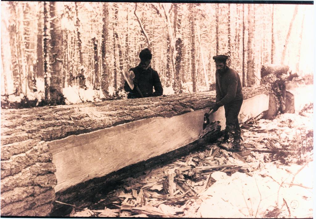 Vernissage de l’exposition «Des forêts et des hommes»