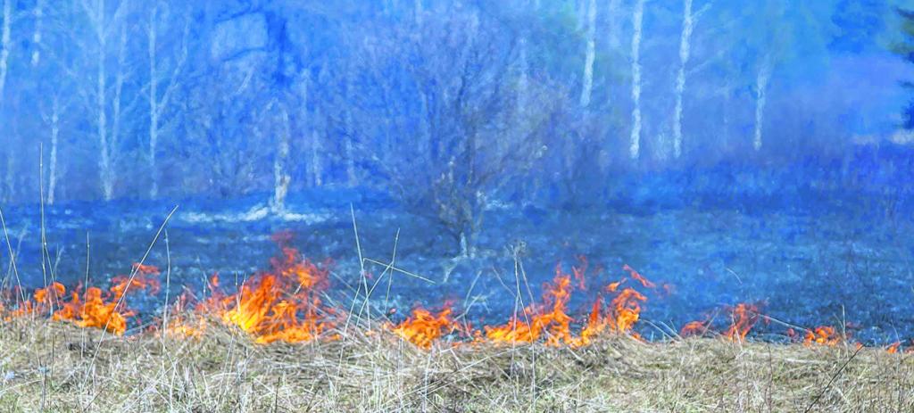 Un début d’été chargé pour la SOPFEU