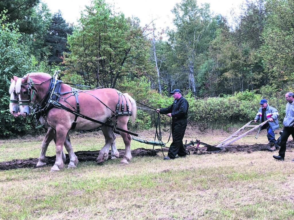 Père et fils partagent la même passion