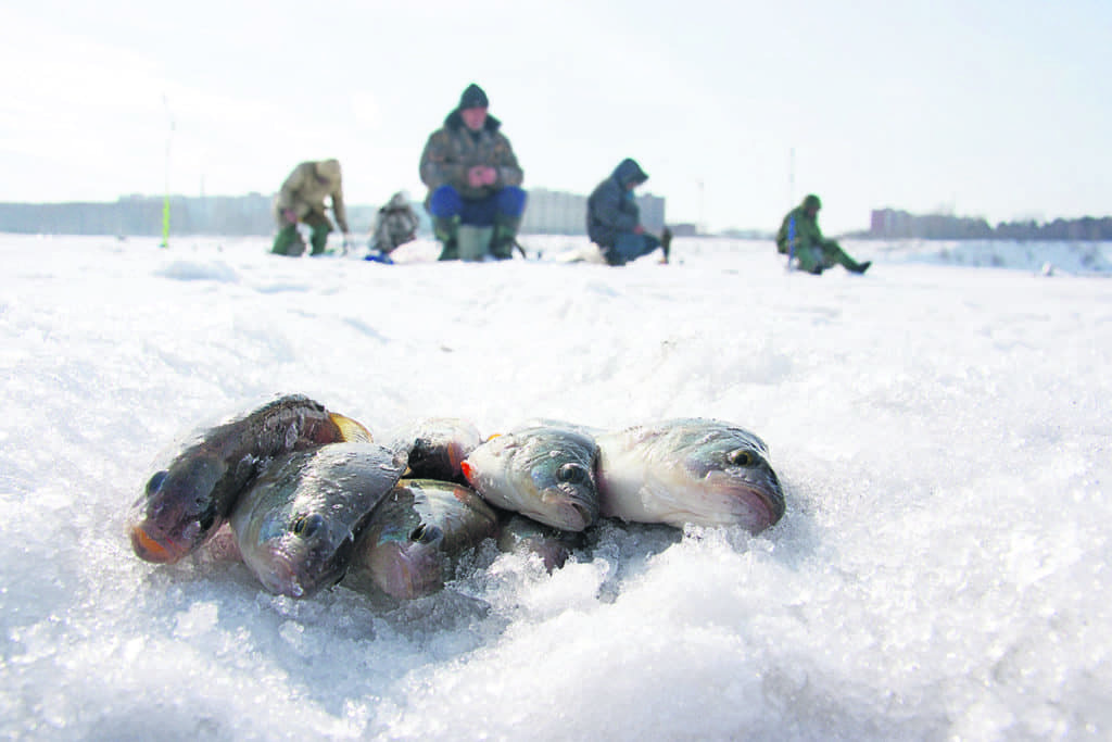 La pêche d’hiver ouverte au lac Gaucher