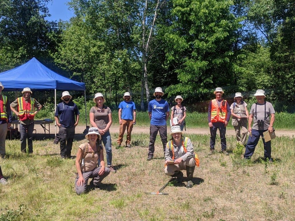 Bioblitz au Laboratoire Écoforestier du Grand Lièvre