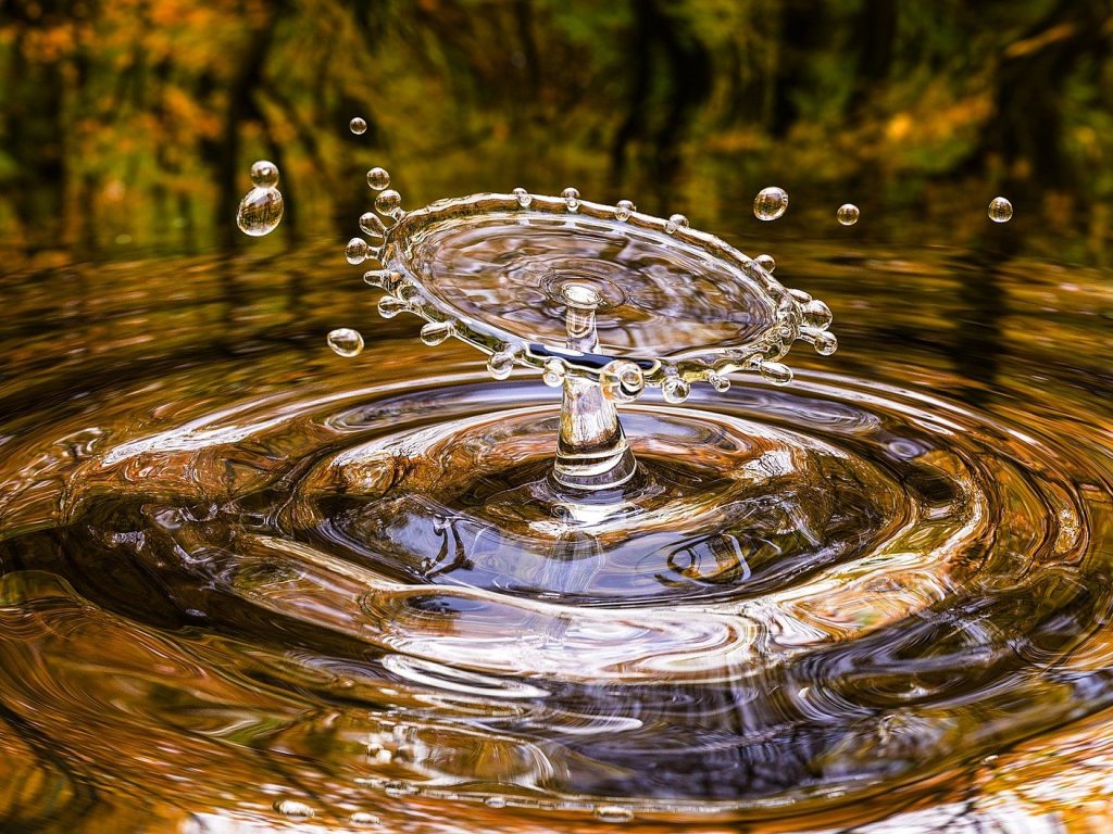 Le COBALI souligne la 30e journée mondiale de l’eau