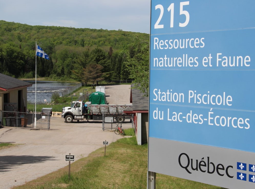 Selon la Coalition pour le maintien de la pisciculture du Lac-des-Écorces, il s’agirait d’un investissement rentable pour le gouvernement du Québec, notamment avec la hausse des activités liées à la pêche sportive qui est à prévoir pour les prochaines années. (Photo L’info de la Lièvre – Archives)
