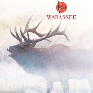 Pour en savoir plus, il faudra lire Wabassee qui sortira en kiosque le 12 octobre. Ce sera certainement plus qu’un succès d’estime pour l’écrivaine dont les cinq premiers tomes se sont vendus à plus de 45 000 exemplaires. (Photo gracieuseté)