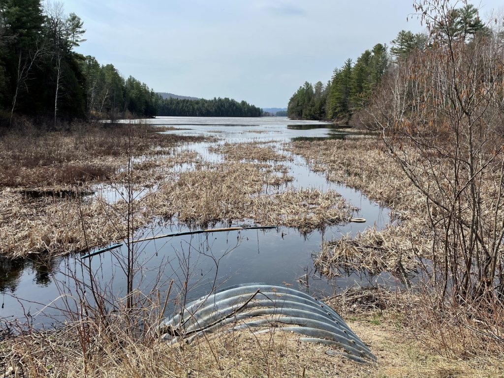 Lac du Cerf dépense 80 000 $ pour régler un problème environnemental