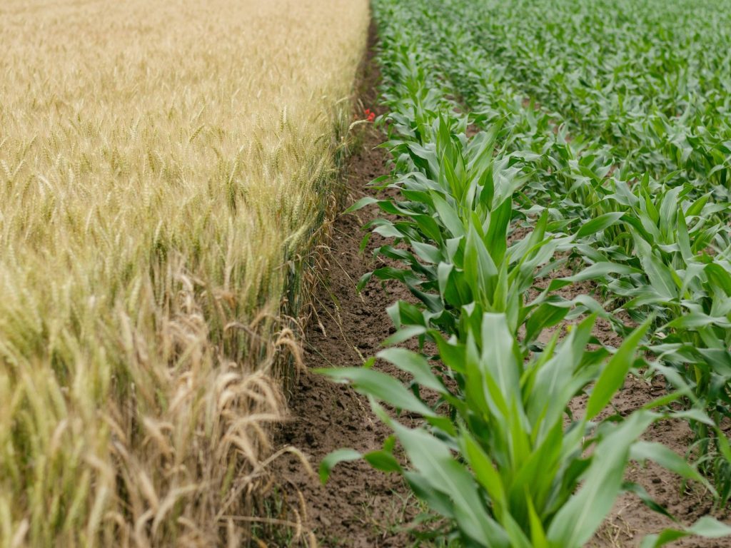 Le projet de loi solidaire sur l’accaparement des terres agricoles progresse