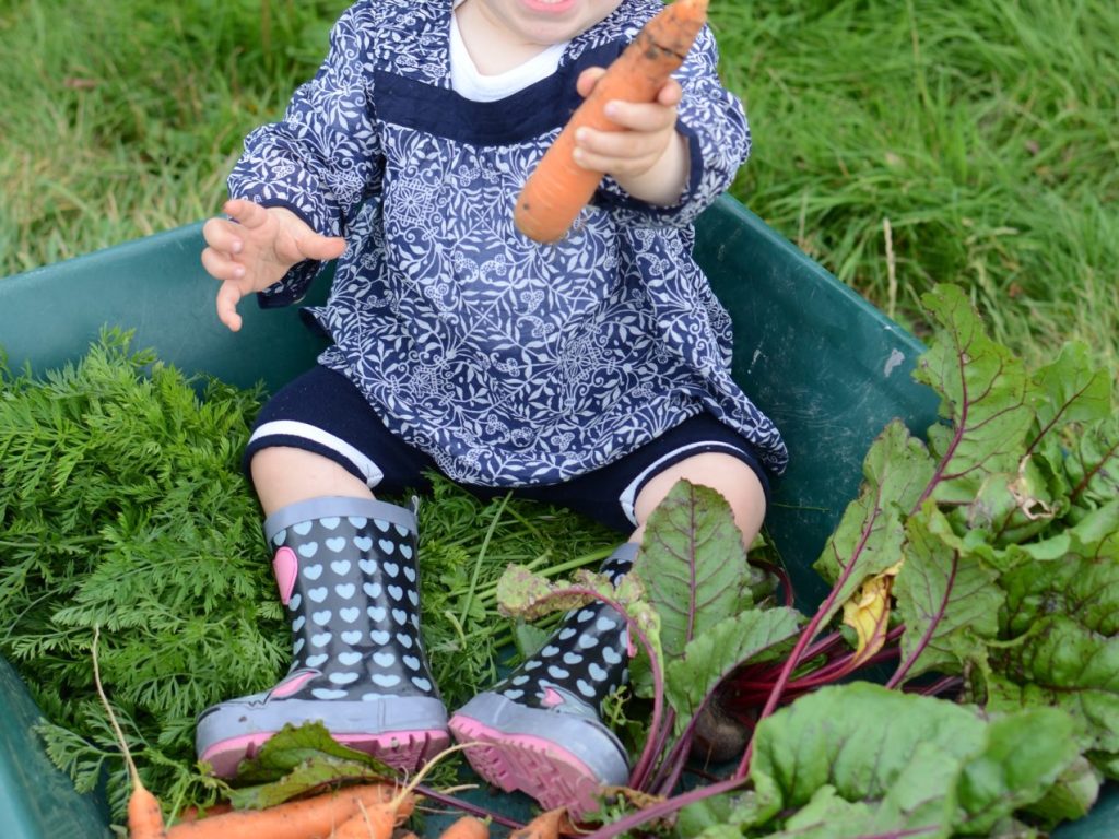 La richesse agricole québécoise à l’honneur  