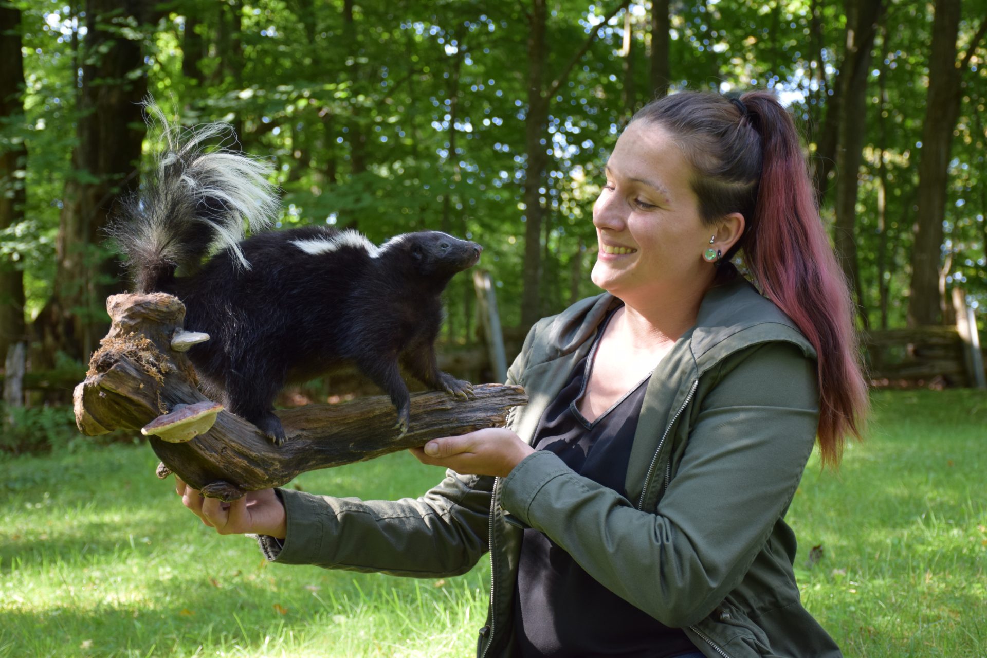 Veronique Durand, taxidermista apaixonada | Informações sobre lebre