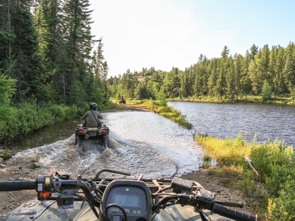 Prudence sur les chemins forestiers dans les réserves fauniques