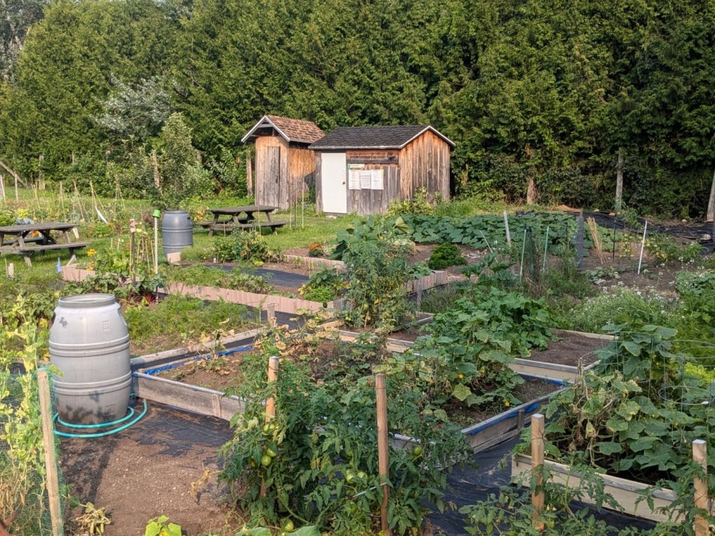 Un partenariat qui porte fruit pour les jardins de l’APEHL